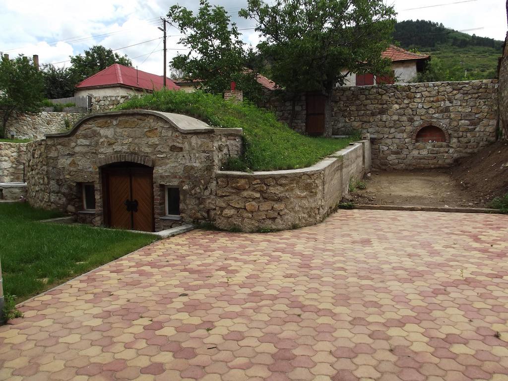 Oereg Diofa Vendeghaz Hotel Abaújszántó Buitenkant foto